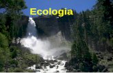Introducao a ecologia