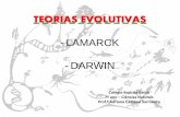 Teoria Evolutivas