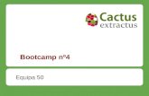 Lessons learned(4) cactus extractus 50