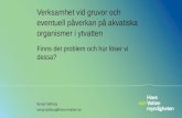Vatten inte bara en VA-fråga Påverkan och Effekter - Myndighetsstöd vid bedömning. Bengt Fjällborg (HaV)