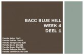 Bacc Blue Hill week 4 deel 1
