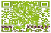 20111110 voorstelling visie limburg