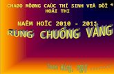 Rung chuong vang(ban thu)