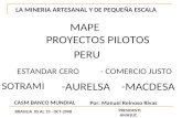 Reinoso Rivas Peru Pilot Project Standard Zero