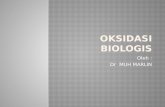 oksidasi biologis AKBID PARAMATA KABUPATEN MUNA