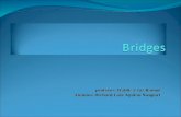 Bridges Inalambricos