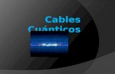 C32CM31 EQ2-cables cuánticos.