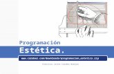 Aesthetic programming - Programación estética
