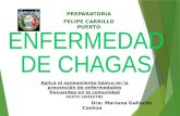 Chagas enf