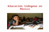 Educación indígena