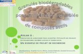 Exemple de projet de recherche : Granulés biodégradables pour la libération contrôlée de composée actifs