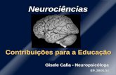 Neuropsicologia para Educadores