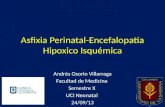 Asfixia perinatal encefalopatía hipoxico isquémica