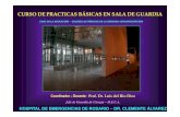 USO DE GUANTES EN CIRUGIA. CLASE I. Prof. Dr. Luis del Rio Diez