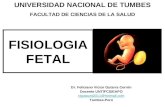Fisiologia fetal 2012 o k