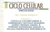 Ciclo Celular Y Carcinogenesis