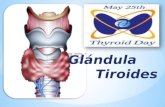 Fisiologia de la Glandula Tiroides , hipertiroidismo e hipotiroidismo.