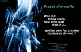 Veille Web2.0