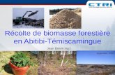 Récolte de biomasse forestière en Abitibi-Témiscamingue
