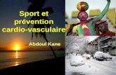 Sport Et PréVention Cardio Vasculaire