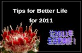 best things to do in 2011