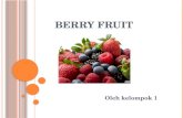 Berry fruit