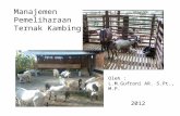 Manajemen pemeliharaan ternak kambing