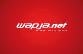 Mobile Expert   Wapja.Net   Jose Geraldo Magalhaes