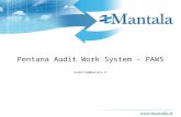 Pentana Paws - Pentana Audit Work System Presentazione Italiano Mantala