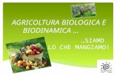 Agricoltura biologica e biodinamica presentazione