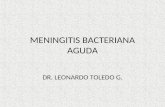 Meninigitis Bacteriana Aguda Dr Toledo
