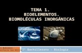Tema1 biomoleculas inorganica pachi 2003