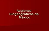 Regiones Biogeograficas De Mexico