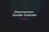 DZG Projects