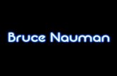 Presentation bruce nauman