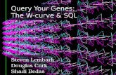 Aligning seqeunces with W-curve and SQL.