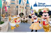 Tokyo Disneyland case study