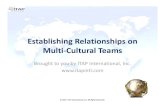 Establishing Relationships on Multi-Cultural Teams