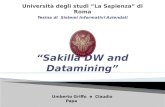 Sakilla Datawarehouse and Datamining