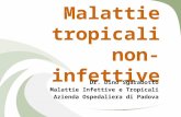 Malattie tropicali non infettive