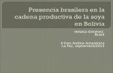 Presencia brasilera en la cadena productiva de la soya en Bolivia