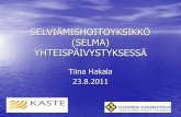 Mieli 2011: Tiina Hakala, Selma – Satakunnan keskussairaalan yhteispäivystyksen selviämishoitoyksikkö Porissa