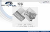 Gb2013 ricardo suplicy góes_instituto de metais não ferrosos