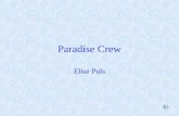 Paradise Crew