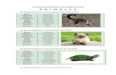 Clasificación de los seres vivos taxonomia