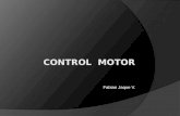 Control  motor (teoría)