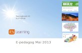 2013 4 e-pedagog