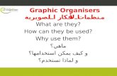 Graphic Organisers (Traanslated)