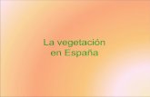 Vegetación de España