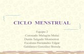 Ciclo  menstrual